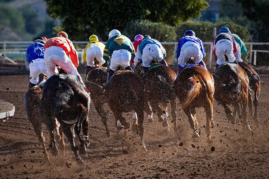 Melbourne Cup derby horse racing with luxury chauffeur car hire