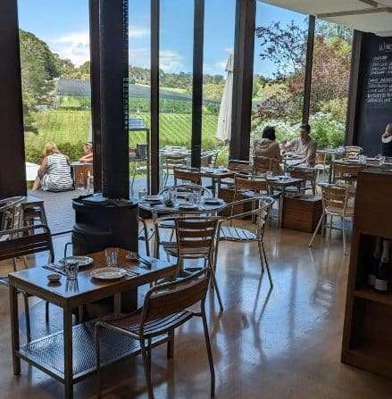 Wine Tasting Tours
